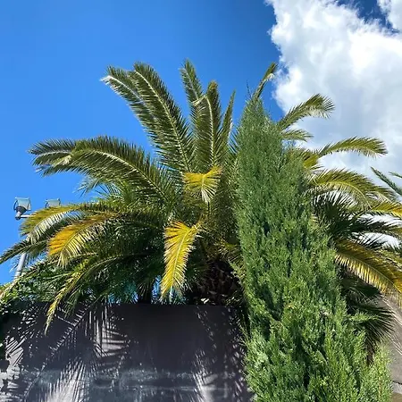 Hébergement de vacances Calma Portorož