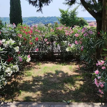 Calma Πορτορόζ