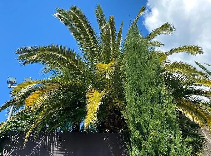 Hébergement de vacances Calma Portorož