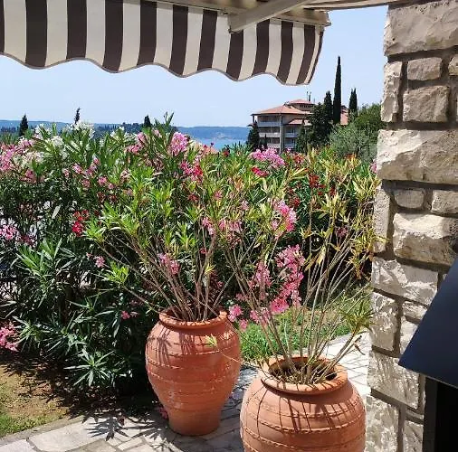 Hébergement de vacances Calma *